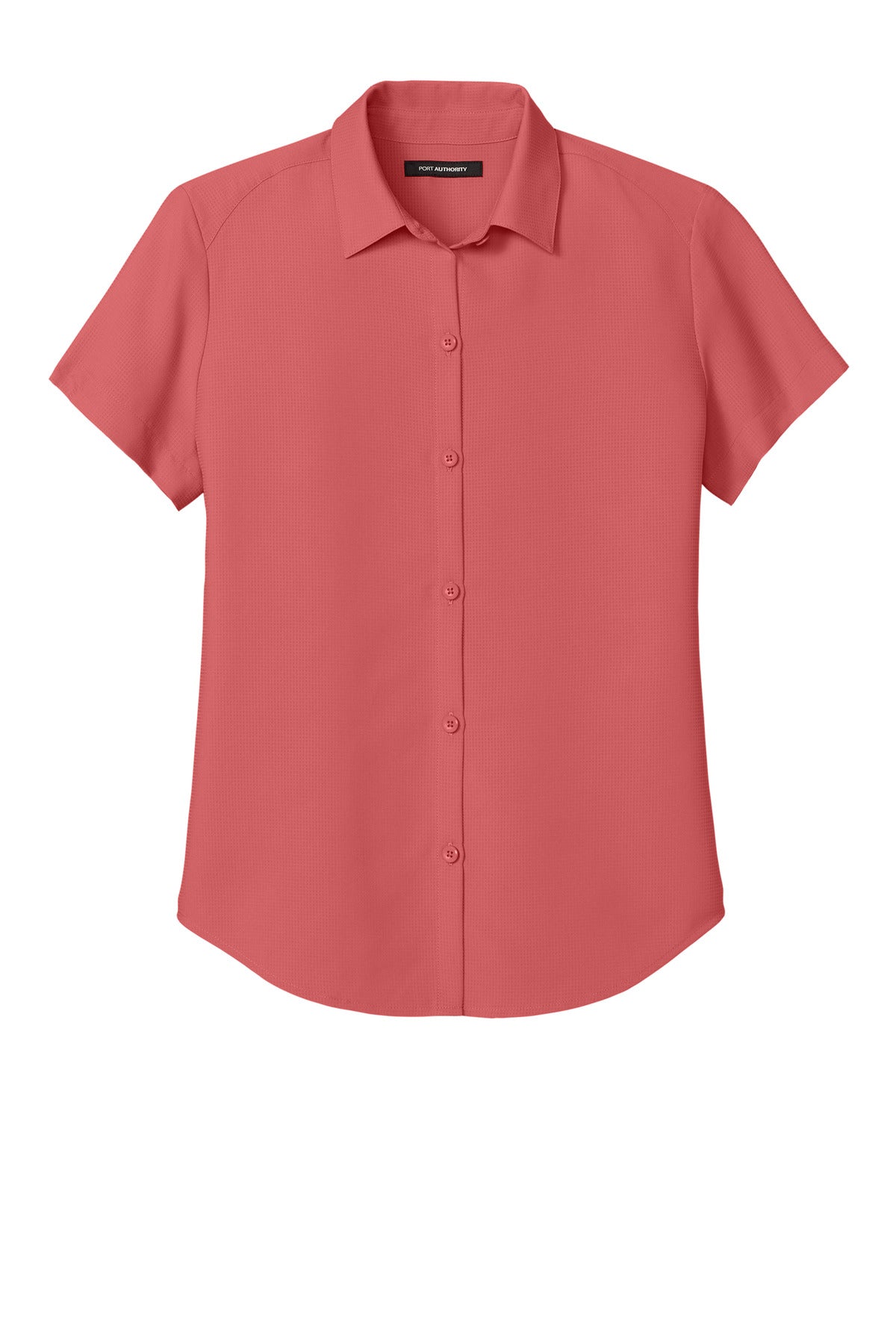 Coral Reef - 
